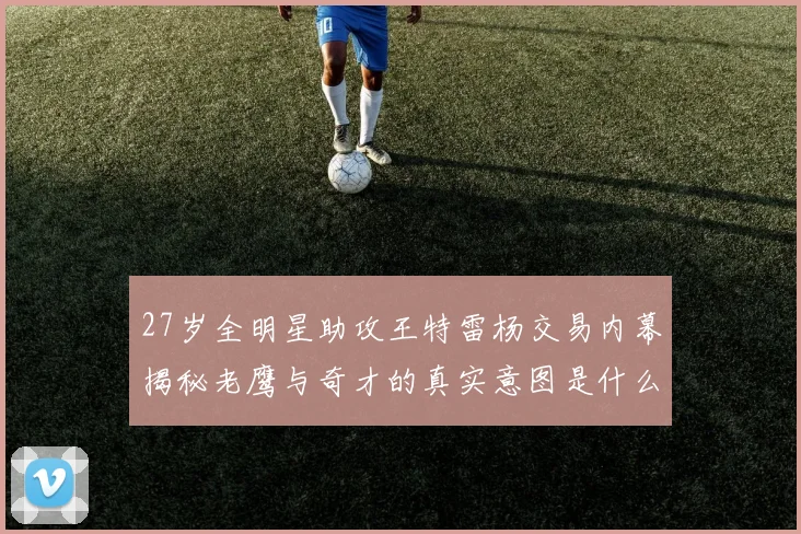 27岁全明星助攻王特雷杨交易内幕揭秘老鹰与奇才的真实意图是什么